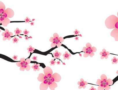 Hiroshima cherry tree